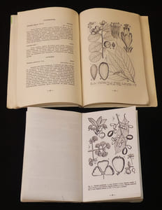 Frutas comestiveis da Amazônia (tomes I et II)