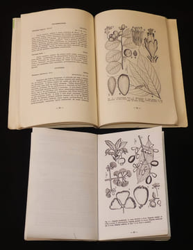 Frutas comestiveis da Amazônia (tomes I et II). Cavalcante Paulo B.