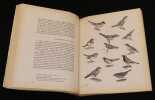 Du h&eacute;ron aux perdrix, de la grive aux rapaces (Tome 2). Oberthur J.