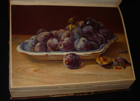 Cours complet de peinture à l'huile (L'art, la science, le métier du peintre). Hareux Ernest