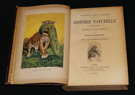 Histoire Naturelle populaire, l'homme et les animaux. Brongniart Charles