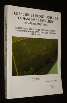 Les Enceintes néolithiques de La Mastine et Pied-Lizet (Charente-Maritime). Cassen Serge,Scarre Chris