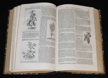 Le Livre de la ferme et des maisons de campagne (2 volumes)