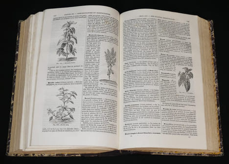 Le Livre de la ferme et des maisons de campagne (2 volumes). Collectif,Joigneaux P.