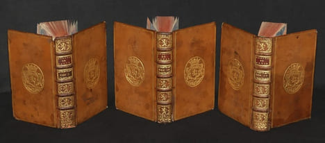 Analyse raisonnée de Bayle, ou Abrégé méthodique de ses ouvrages, particulièrement de son Dictionnaire historique et critique, dont les remarques ont ...