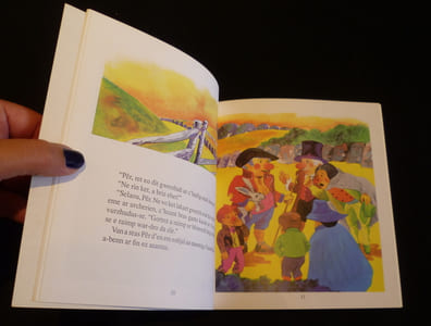 Ar skafig (10 volumes de contes en breton)