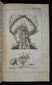 Splanchnologie, ou l'anatomie des visceres ; avec des figures originales tirées d'après les Cadavres ; suivie d'une dissertation sur l'Origine de la Chirurgie