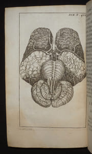 Splanchnologie, ou l'anatomie des visceres ; avec des figures originales tirées d'après les Cadavres ; suivie d'une dissertation sur l'Origine de la Chirurgie