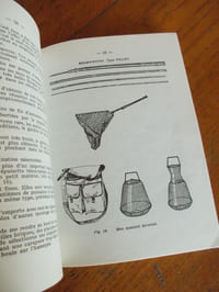 Pêches du gardon au fil des saisons