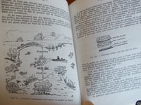 Pêches du gardon au fil des saisons
