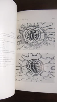 Etude monographique du genre Heliopora de Blainville