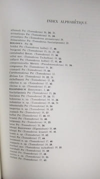 Les Tomoderini de l’Afrique Noire et de la région malgache (Coléoptera, anthicidae)