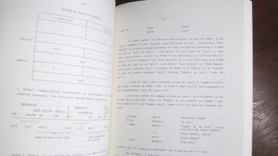 Africana Linguistica X
