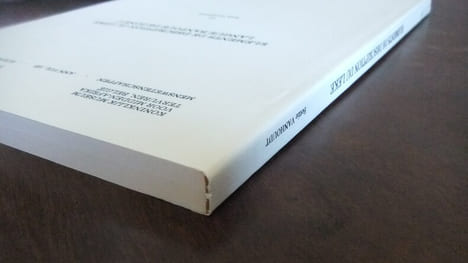 Eléments de description du Leke, langue bantoue de zone C. VANHOUDT, Bettie