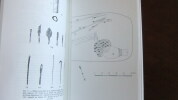Les tombes du roi Cyirima Rujugira et de la reine-mère Nyirayuhi Kanjogera, description archéologique. VAN NOTEN, Francis L.