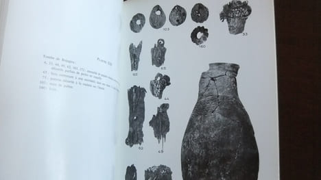 Les tombes du roi Cyirima Rujugira et de la reine-mère Nyirayuhi Kanjogera, description archéologique. VAN NOTEN, Francis L.