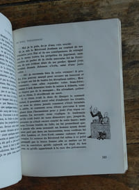 La véritable histoire de Will Williamson.