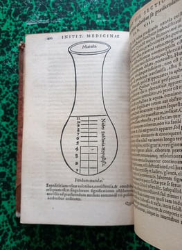 Institutionum medicinae, ad hippocratis, Galeni, aliorumque veterum scripta recte intelligenda mire utiles Libri quinque.. FUCHSIO Leonharto