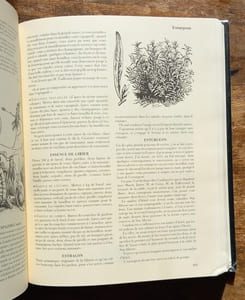 Grand dictionnaire de cuisine.