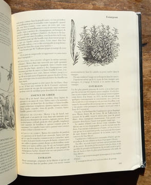 Grand dictionnaire de cuisine.. DUMAS Alexandre