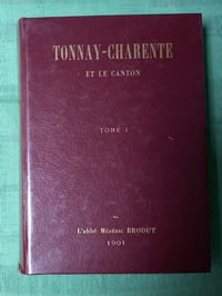 Tonnay-Charente et le canton.