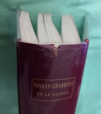 Tonnay-Charente et le canton.