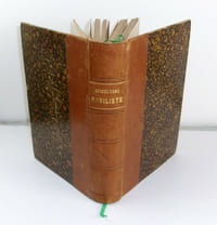 Apiculture Mobiliste - Conduite du rucher - Apiculture moderne