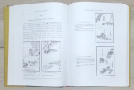 Encyclop&eacute;die de la Peinture Chinoise. Rapha&euml;l Petrucci