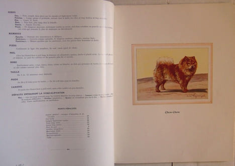 TOUS LES CHIENS, Races & Standards, en 2 tomes. HEUILLET Hubert