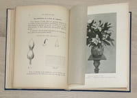 Les Fleurs en Cire