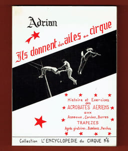 Ils donnent des Ailes au Cirque