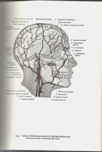 ATLAS D'ANATOMIE HUMAINE – 2 tomes