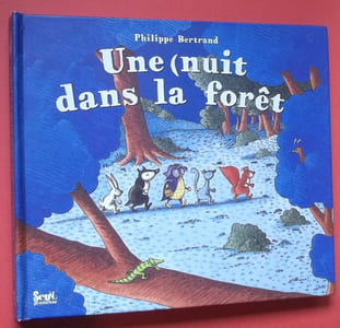 Une Nuit dans la Forêt – Pop up – Livre en 3D