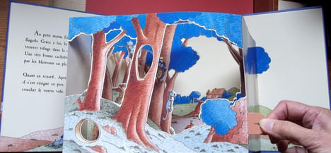 Une Nuit dans la Forêt – Pop up – Livre en 3D. BERTRAND Philippe