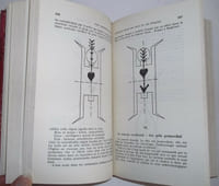 Pour comprendre le Yoga et les lois brahmaniques