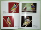 Le Diamant de Gould - Monographie. Jean Yves Hervé