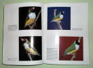 Le Diamant de Gould - Monographie. Jean Yves Hervé