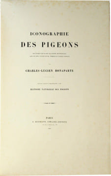 Iconographie des pigeons non figurés par Mme Knip (Mme Pauline de Courcelles) dans les deux volumes de MM. Temminck et Florent Prévost. Un grand livre ...