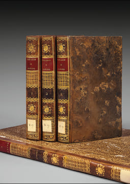 Voyages à Peking, Manille et l’Ile de France, faits Dans l’intervalle des années 1784 à 1801, par M. de Guignes, Résident de France à la Chine, ...