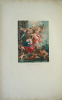 Galerie de Rubens, dite du Luxembourg : ouvrage composé de vingt-cinq estampes, soit en couleur, soit en noir, Avec l'explication historique et ...