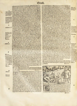 Biblia cum concordantiis veteris novi testameti sacrouca...[In fine : Impressa autem Lugduni: per M. Jacobum Sacon. Expensis. Notabilis viri Antonii ...