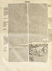 Biblia cum concordantiis veteris novi testameti sacrouca...[In fine : Impressa autem Lugduni: per M. Jacobum Sacon. Expensis. Notabilis viri Antonii Koberger Nurembergensis. Feliciter explicit. Anno salutis Millesimo quingentesimo decimo octavo. Die vero decimo mensis Maii]. Belle édition de cette rare bible illustrée élégamment imprimée en 1518  sur les presses lyonnaises de Jacques Sacon (1472-1530)  pour le célèbre imprimeur allemand Anton Koberger,  l’imprimeur de la Chronique de Nuremberg.