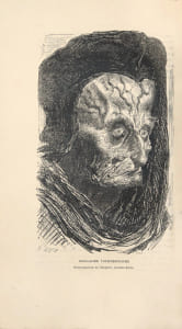 Les contes drolatiques colligez ez abbayes de Touraine et mis en lumière par le sieur de Balzac pour l’esbattement des pantagruelistes et non aultres. Cinquiesme édition. Illustrée de 425 dessins par Gustave Doré. Le chef-d’œuvre de Gustave Doré. Précieux exemplaire d’une grande rareté, l’un des 25 sur Chine.