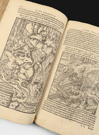 De re Metallica. Unique exemplaire répertorié sur le marché de cette édition originale scientifique  conservé dans sa belle reliure baloise de l’époque en peau de truie estampée à froid avec ses fermoirs d’origine conservés.