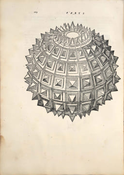 La Pratica della perspettiva, opera molto profittevole a pittori, scultori e architetti. Précieuse et rare édition originale du grand traité ...