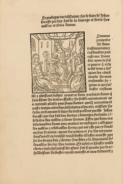 Le livre de Jehan Bocasse [sic] De la Louenge et vertu des nobles et clères dames traslaté et imprimé nouvellement à Paris. (In fine :) Cy finist ...