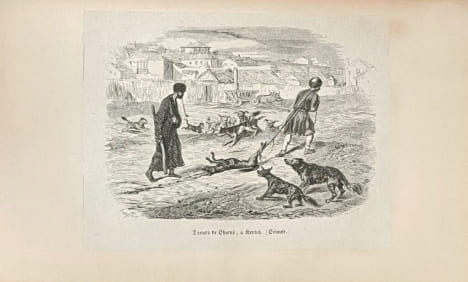 Voyage dans la Russie méridionale et la Crimée par la Hongrie, la Valachie et la Moldavie. Le voyage de Demidoff en Russie et en Crimée orné de 25 ...