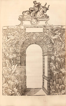 Bref et sommaire recueil de ce qui a esté faict & de l’ordre tenüe à la ioyeuse & triomphante Entrée de très-puissant… Charles IX... Roy de France en ...