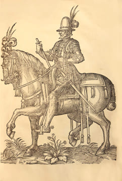 Bref et sommaire recueil de ce qui a esté faict & de l’ordre tenüe à la ioyeuse & triomphante Entrée de très-puissant… Charles IX... Roy de France en ...