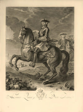 Représentation des fêtes données par la ville de Strasbourg Pour la convalescence du Roi ; à l'arrivée et pendant le séjour de Sa Majesté en cette ...
